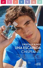 Catálogo Oriflame Página 27