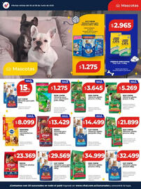 Catálogo Supermayorista Vital semana 23 Página 23