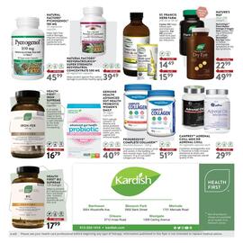 Kardish flyer Page 4