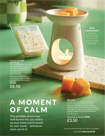 Avon leaflet Page 150