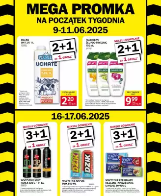 Selgros gazetka (ważność do 17-06)