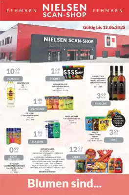 Nielsen's Discount tilbudsavis