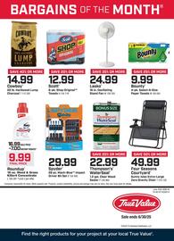 True Value Weekly Ad week 23 Page 1