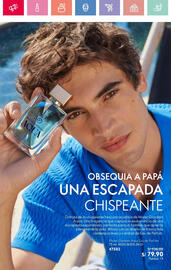 Catálogo Oriflame Página 27