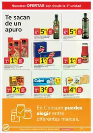 Folleto Consum Página 10