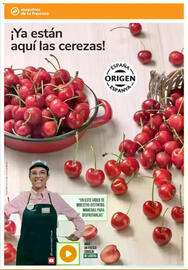 Folleto Consum Página 12