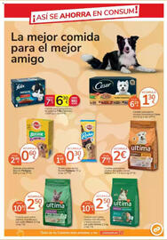Folleto Consum Página 19