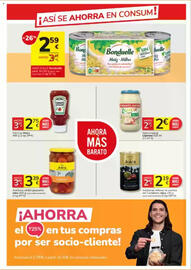 Folleto Consum Página 9