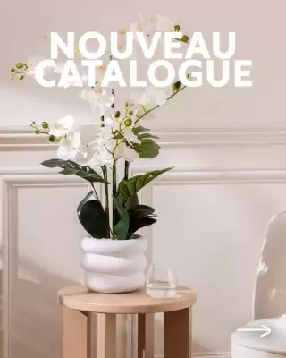 Catalogue Maxi Bazar (valable jusqu'au 15-06)