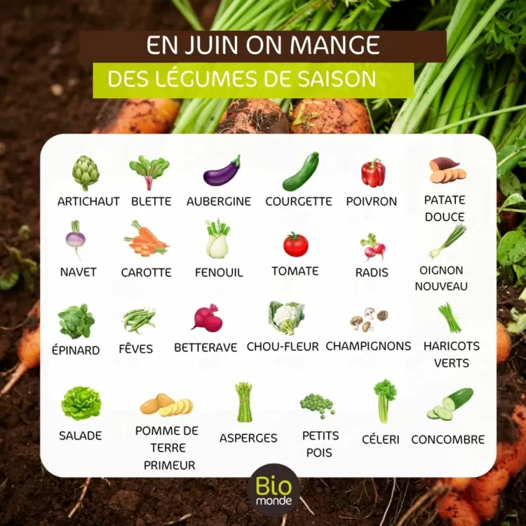 Catalogue Biomonde (valable jusqu'au 30-06)