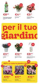 Volantino Giardango Pagina 2