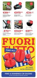 Volantino Giardango Pagina 6