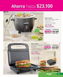 Catálogo Nova Venta Página 13