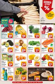 REWE PETZ Prospekt woche 23 Seite 14