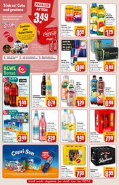 REWE PETZ Prospekt woche 23 Seite 18