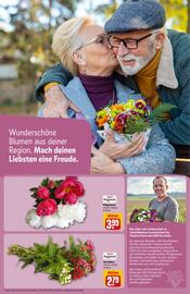 REWE PETZ Prospekt woche 23 Seite 30
