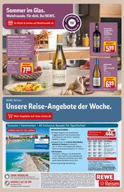 REWE PETZ Prospekt woche 23 Seite 33
