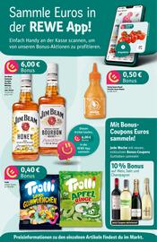 REWE PETZ Prospekt woche 23 Seite 6