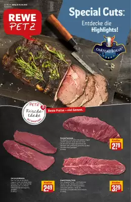 REWE PETZ Prospekt (gültig bis 7-06)