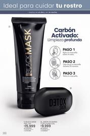 Catálogo Marketing Personal Página 208