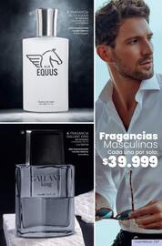 Catálogo Marketing Personal Página 223