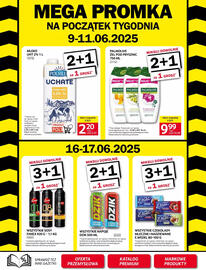 Selgros gazetka Strona 41
