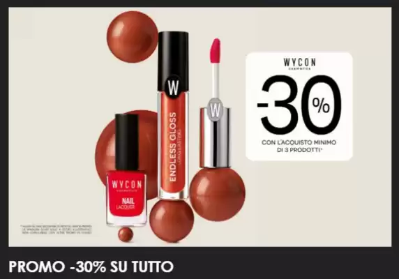 Volantino Wycon (valido fino al 30-06)