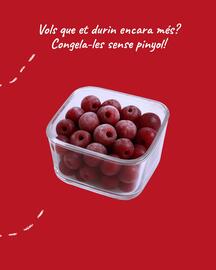 Folleto Sorli Página 4