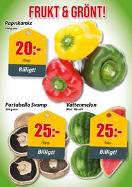 Extra Mjällby Stormarknad reklamblad vecka 23 Sida 14