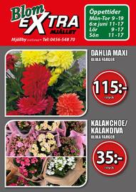 Extra Mjällby Stormarknad reklamblad vecka 23 Sida 17