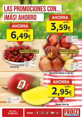 Folleto FROIZ (válido hasta el 8-06)