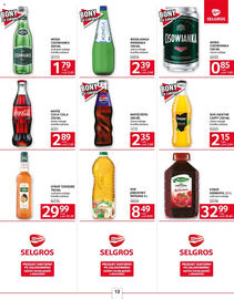 Selgros gazetka Strona 13