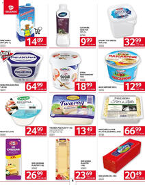 Selgros gazetka Strona 8