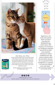 Rossmann Prospekt Seite 13