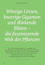 Rossmann Prospekt Seite 16