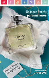 Catálogo Oriflame Página 17