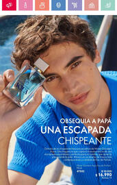 Catálogo Oriflame Página 27