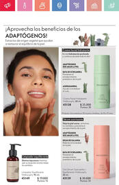 Catálogo Oriflame Página 58