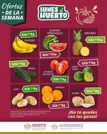 Catálogo SuperISSSTE semana 23 Página 4