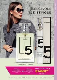 Catálogo Monique Página 13