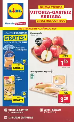 Folleto Lidl (válido hasta el 14-06)