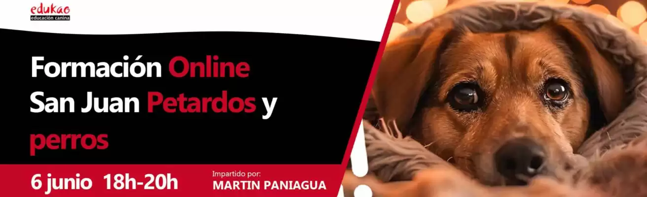 Folleto Don Canino (válido hasta el 6-06)