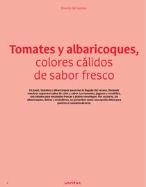 Folleto Veritas Página 4