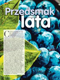Dbam o Zdrowie gazetka Strona 8