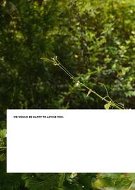STIHL catalogue Page 292