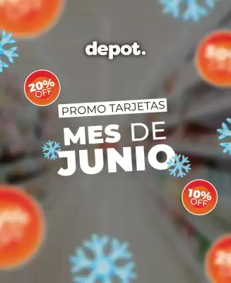 Catálogo Depot Express (válido hasta 30-06)
