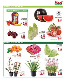 Volantino Maxi Supermercati Pagina 5
