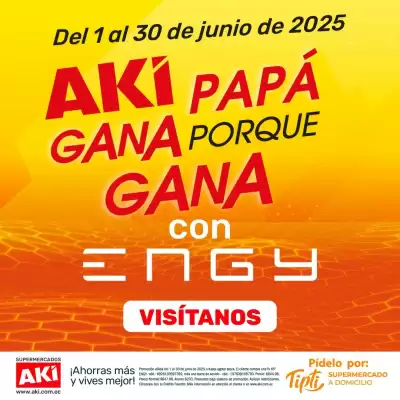 Catálogo Akí (válido hasta 30-06)