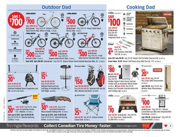 Canadian Tire flyer Page 3