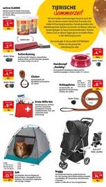 Das Futterhaus Flugblatt woche 23 Seite 6